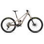 Orbea rower MTB RALLON E10 S Nickel - Nickel Chrome