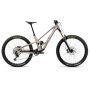 Orbea rower MTB RALLON E10 M Nickel - Nickel Chrome