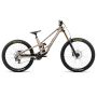 Orbea rower MTB RALLON 450 D-LTD M Nickel - Nickel Chrome