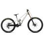 Orbea rower MTB RALLON D-LTD M White Chich - Diamond Black