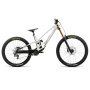 Orbea rower MTB RALLON 450 D-LTD XL White Chich - Diamond Black